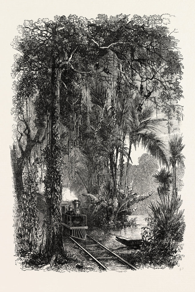 Detail of View on the Panama Railroad, Panama by Anonymous