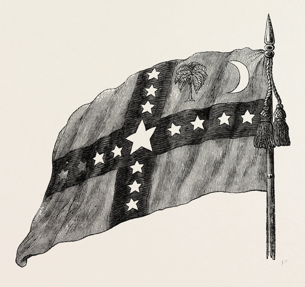 Detail of The South Carolina Flag by Anonymous