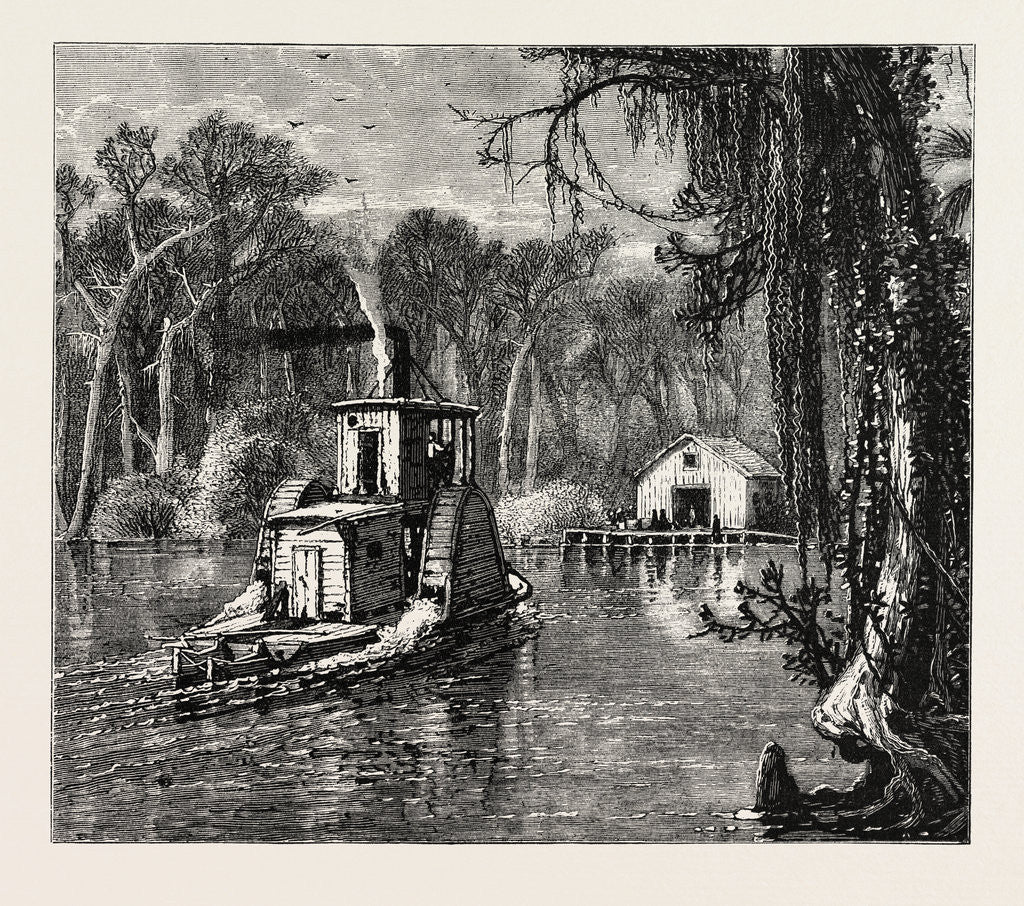 Detail of View in Florida by Anonymous