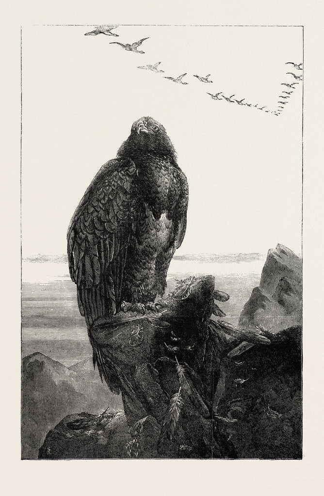 Detail of The Eagle's Throne, Exhibition of the British Institution by Anonymous