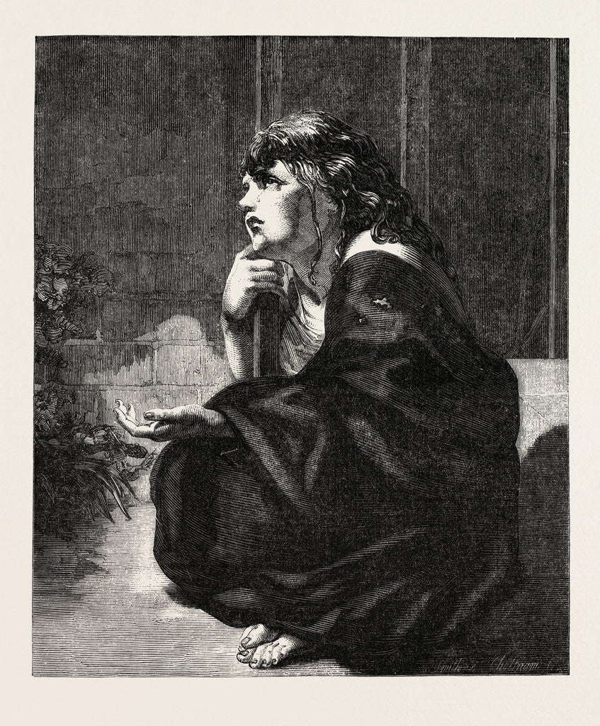 Detail of Shade, in the Exhibition of the British Institution by Anonymous