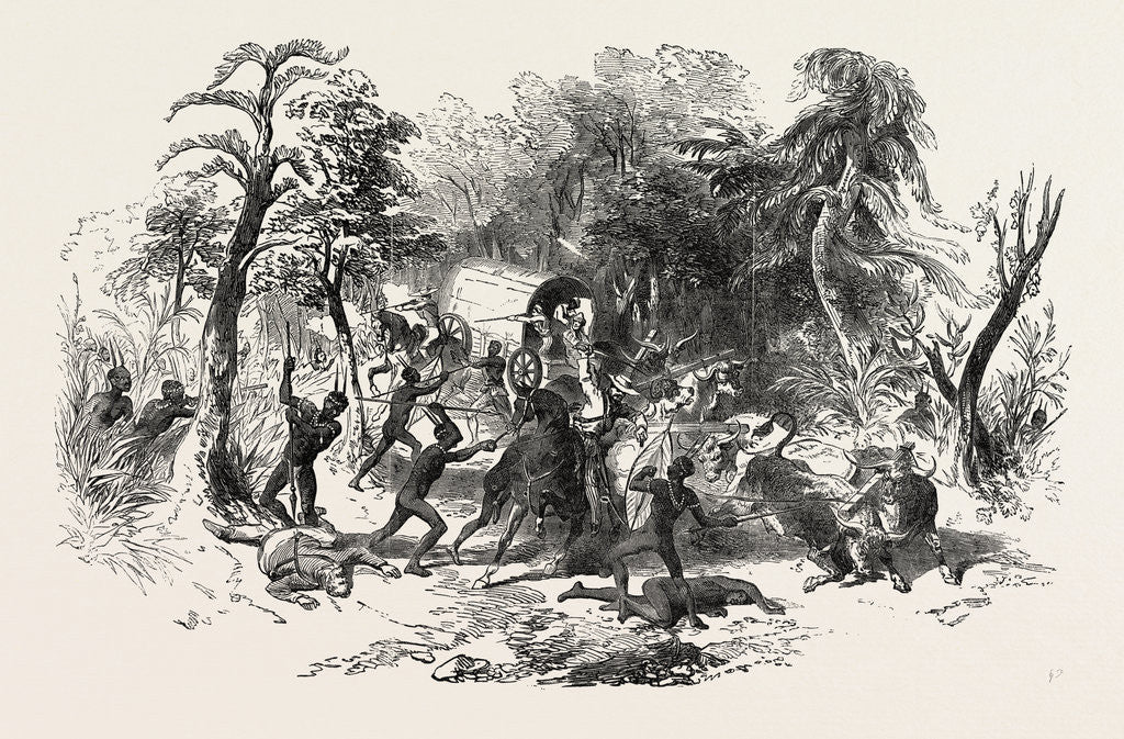 Detail of Attack on Colonists' Waggon, by Kaffirs, South Africa by Anonymous