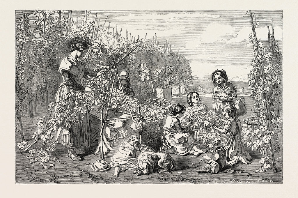 Detail of Exhibition of the New Society of Painters in Water Colours: Hoppers; Hop Picking by Anonymous