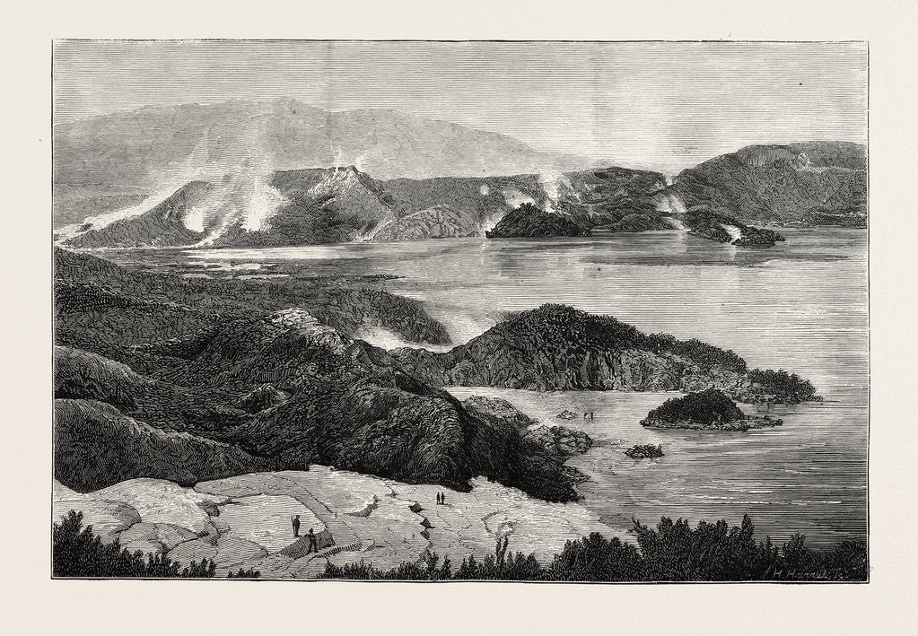 Detail of Hot Lakes of New Zealand: General View of Rotamahana, Auckland by Anonymous