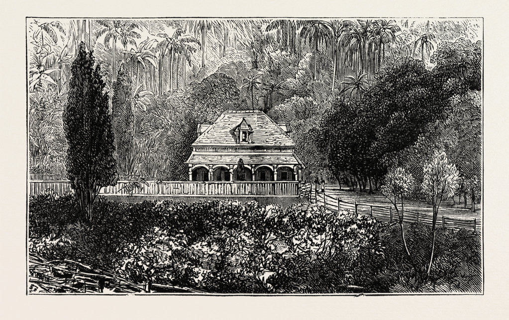 Detail of Views in Santiago De Cuba: A Cuban Merchant's Country Seat, Cuba by Anonymous