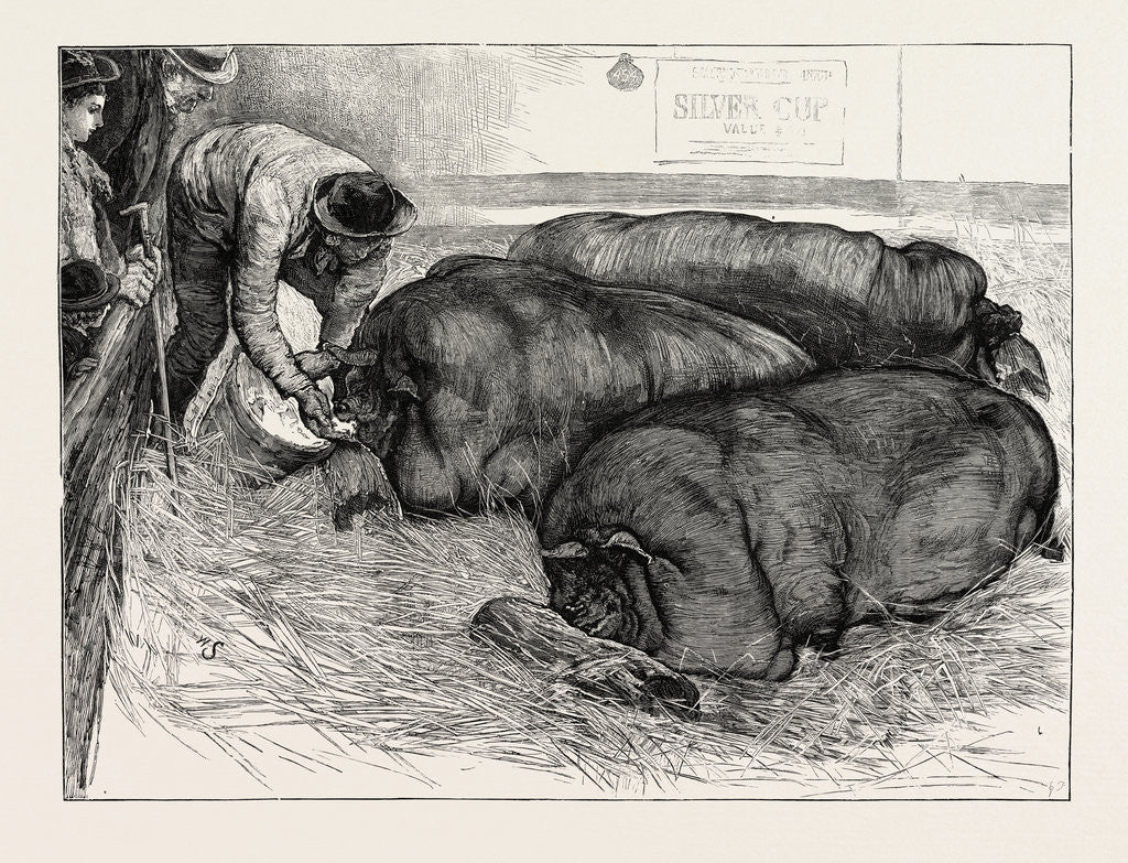 Detail of The Finishing Touch: A Sketch from Life at the Smithfield Club Show by Anonymous