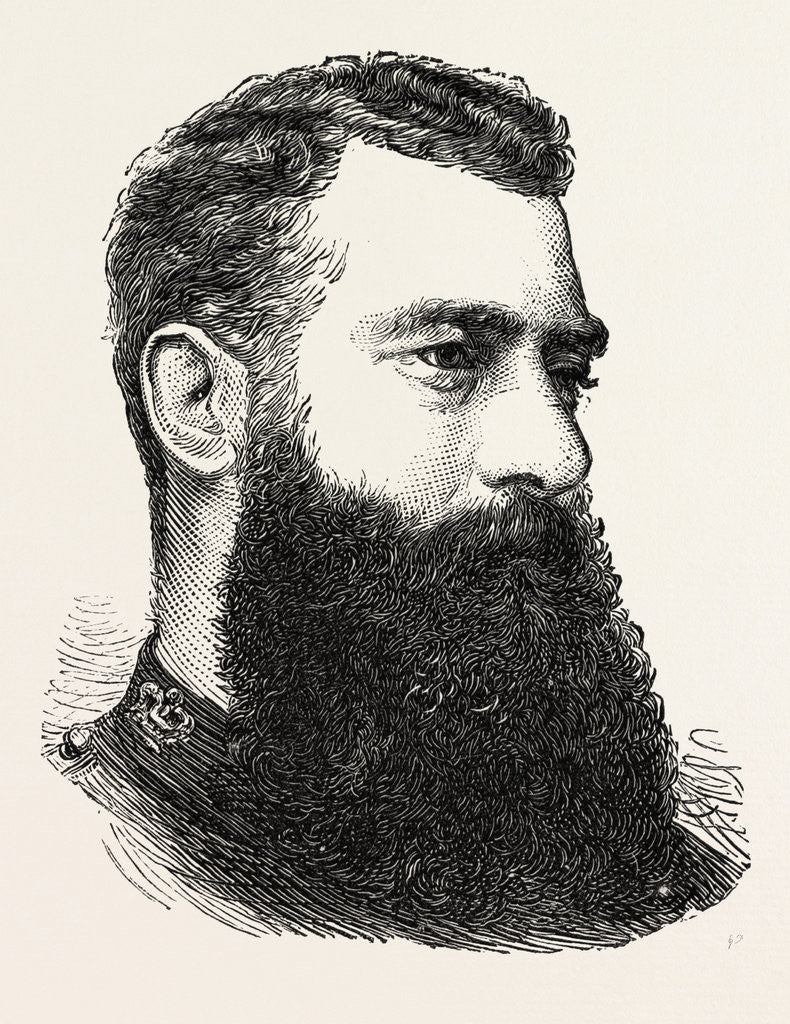 Detail of Lieut.-Colonel F.W. Festing, R.M. A., Leader of the Recent Attack on Esscaboo by Anonymous
