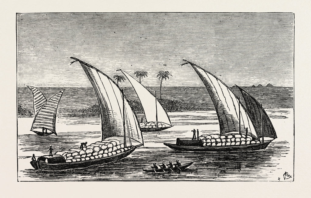 Detail of Cotton on Its Way Down the Nile, Egypt by Anonymous