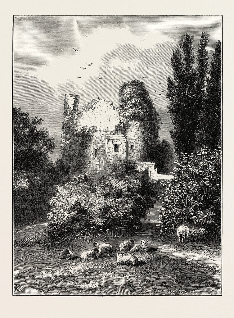 Detail of Remains of Ancient Castle, Hawarden Park, Wales by Anonymous