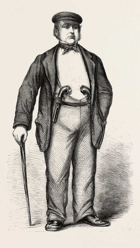 Detail of Mr. Edwin James, Q.C., in Garibaldi's Camp by Anonymous