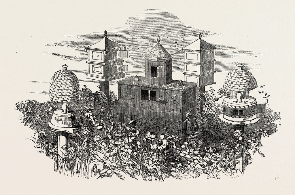 Detail of Neighbour And Son, Beehives by Anonymous