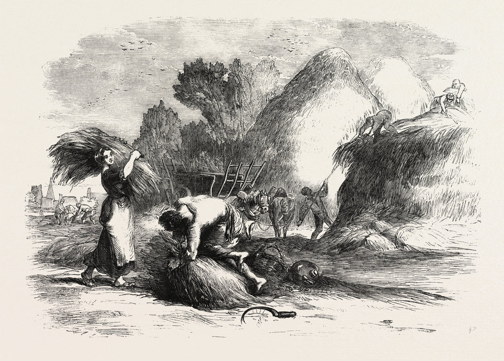 Detail of Harvest in France: Stacking Hay by Anonymous