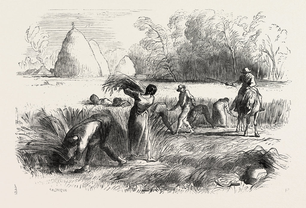 Detail of Harvest in France: Reaping by Anonymous