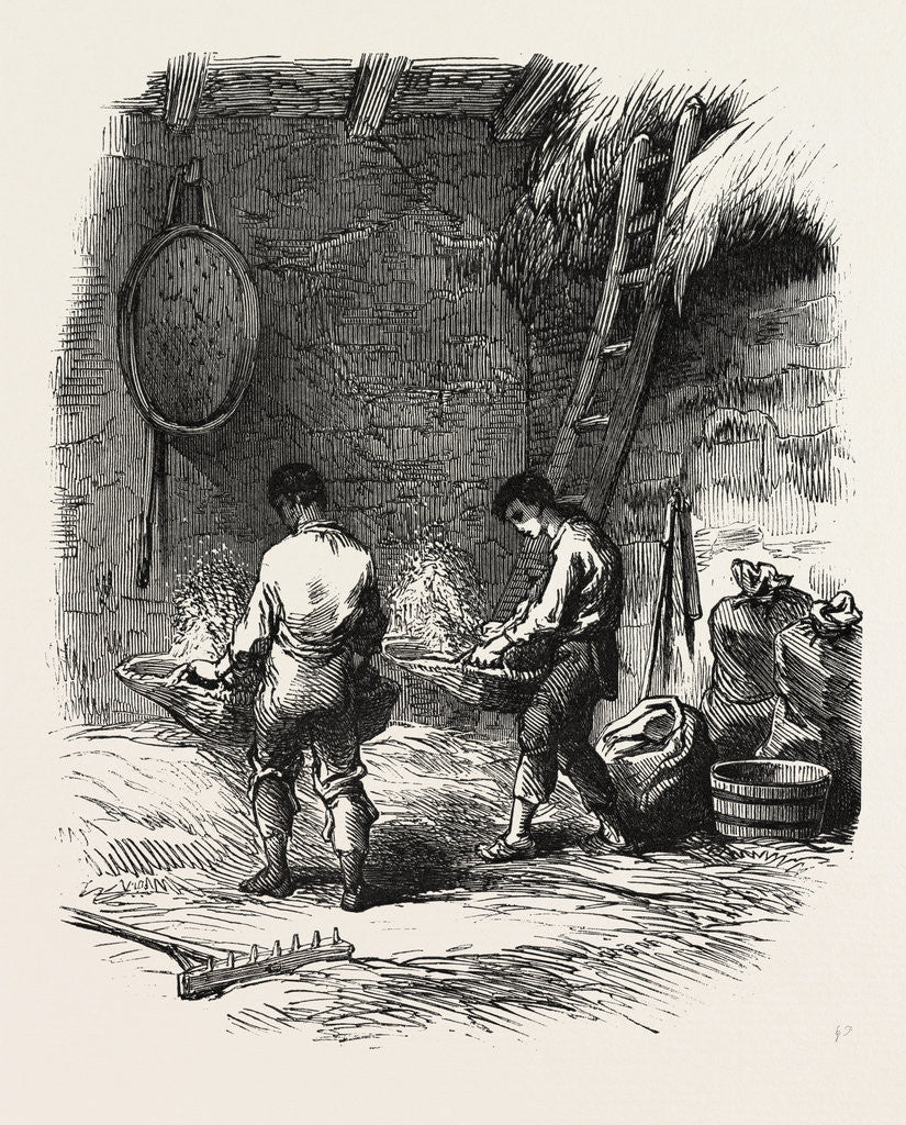 Detail of French Agriculture: Winnowing by Anonymous