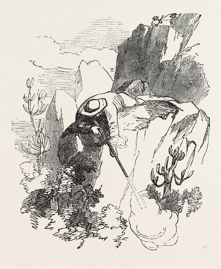 Detail of The Kaffir War: Hottentot Rebels by Anonymous