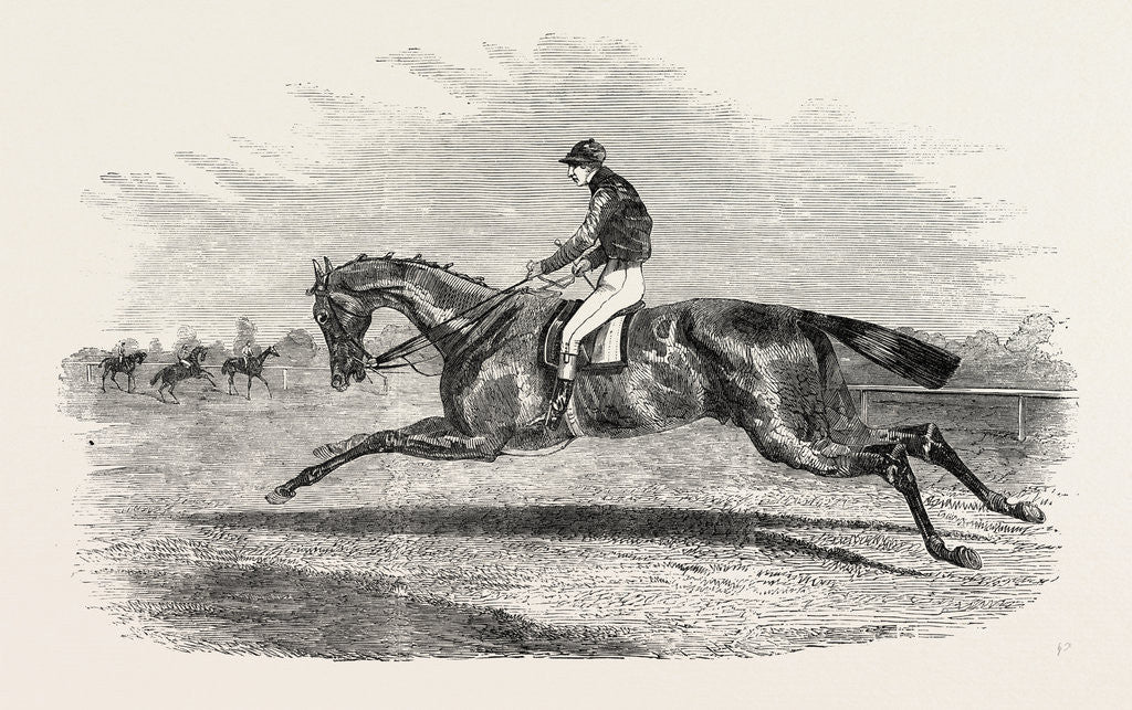 Detail of S.A. Nichol's Newminster, Winner of the Great St. Leger Stakes, at Doncaster, 1851 by Anonymous