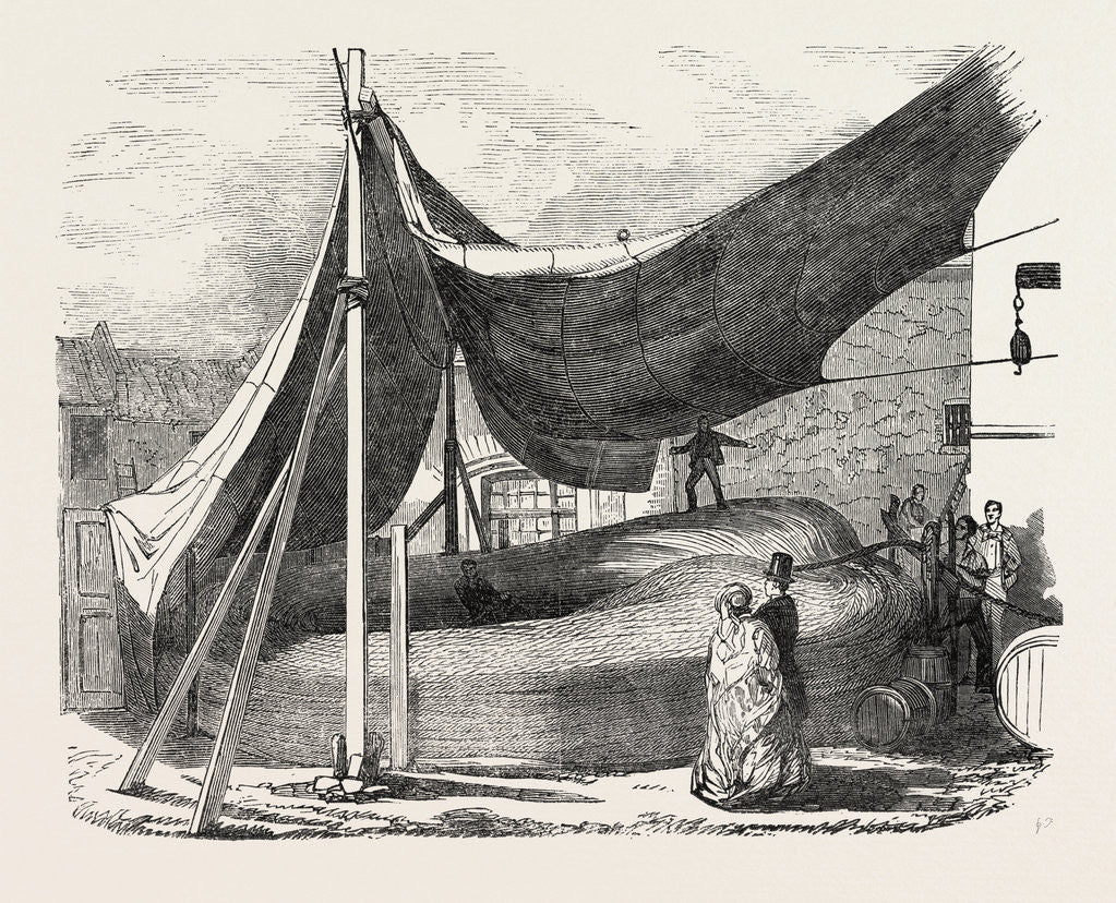 Detail of The Submarine Telegraph Rope Complete by Anonymous