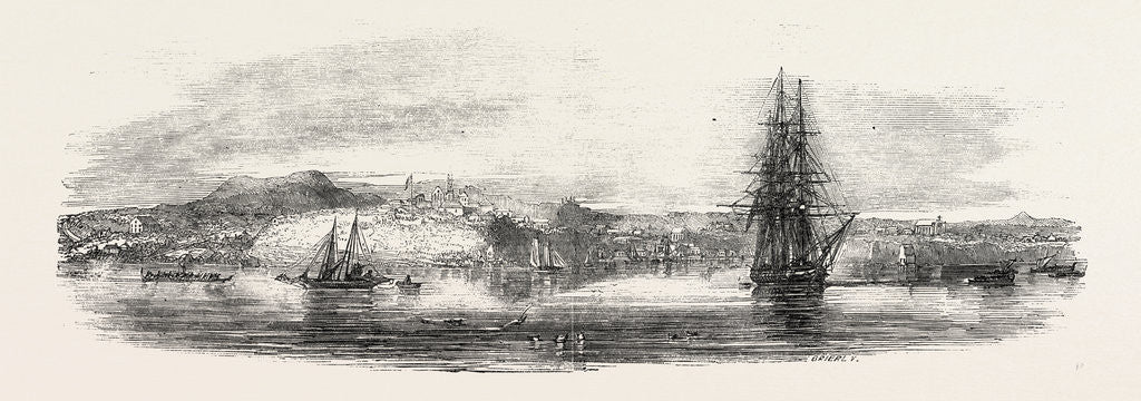 Detail of The Town of Auckland, New Zealand by Anonymous