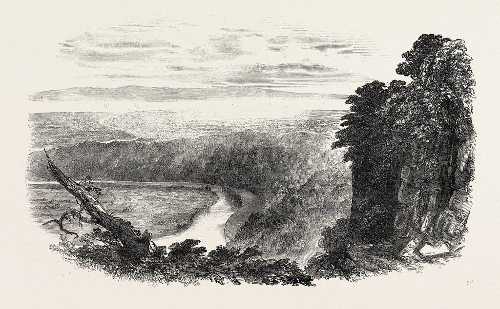 Detail of South Wales and Gloucester and Dean Forest Railway: The Wyndcliff by Anonymous