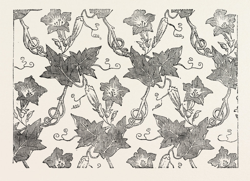 Detail of Convolvulus Silk Pattern by Anonymous