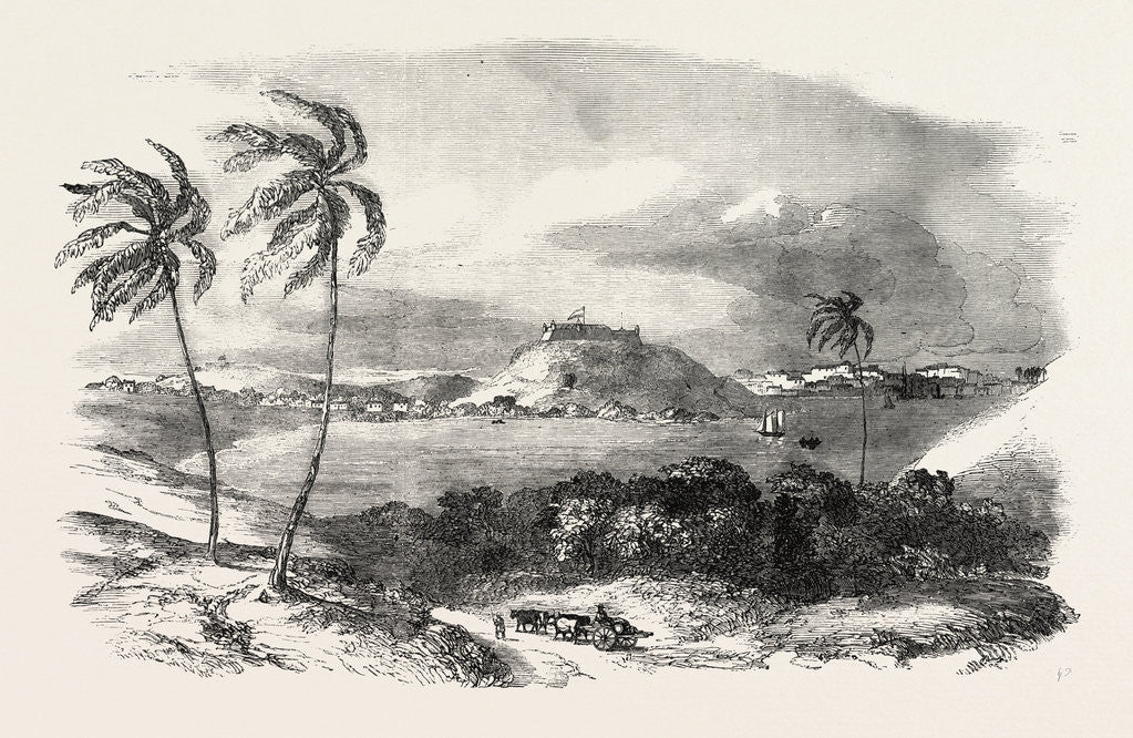 Detail of Havannah, Part of the Harbour, Fort of Atares, Cuba by Anonymous