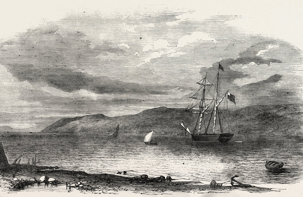 Detail of North-West Searching Expedition for Sir John Franklin, Sir John Ross' Yacht Felix at Anchor in Loch Ryan by Anonymous