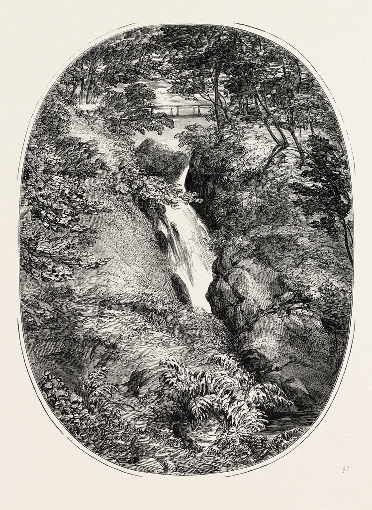 Detail of Aira Force, Lake District by Anonymous