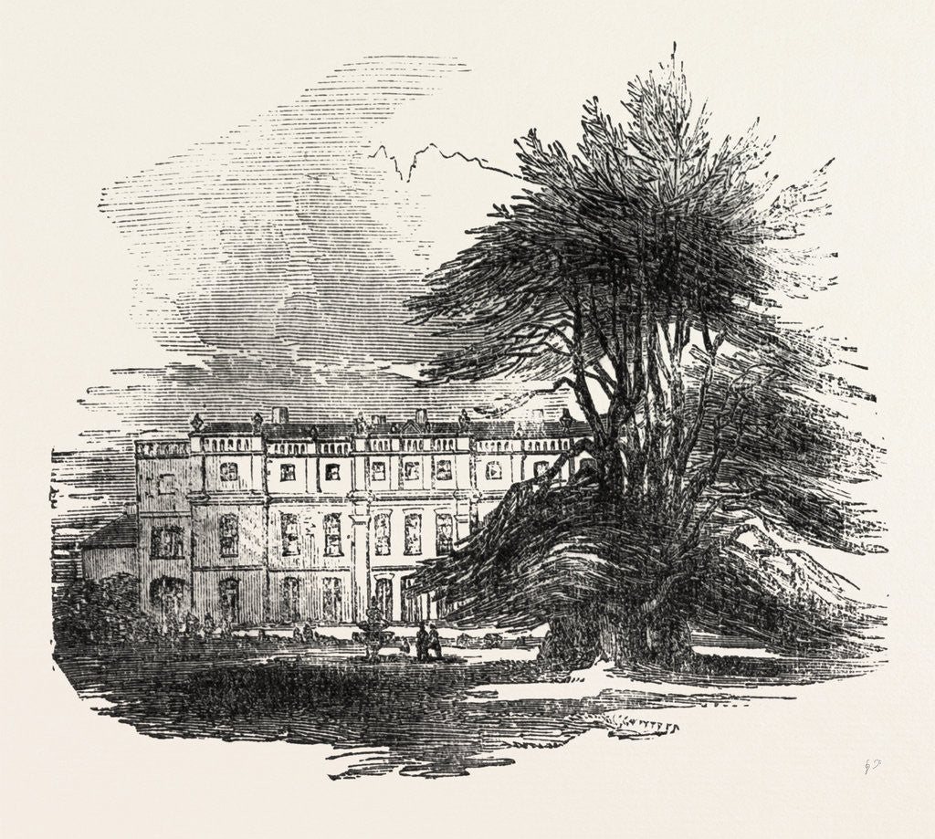 Detail of The Grove, Hertfordshire by Anonymous