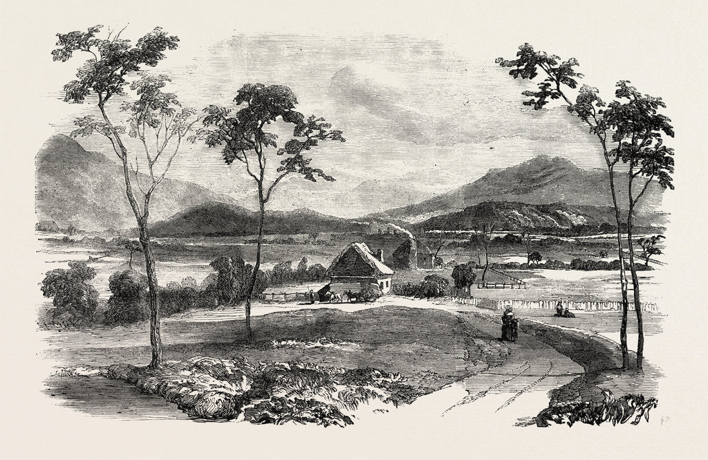 Detail of The Australian Gold District: The Paterson District, from Morpeth, Australia by Anonymous