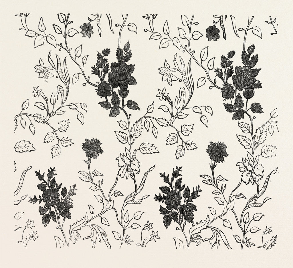 Detail of Poplin by Anonymous