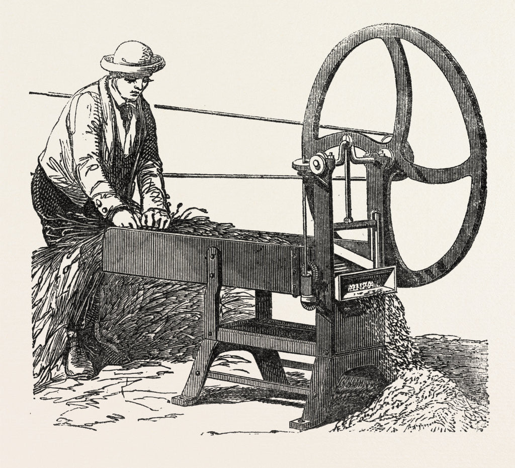 Detail of Gillett's Guillotine Chaff Cutter by Anonymous
