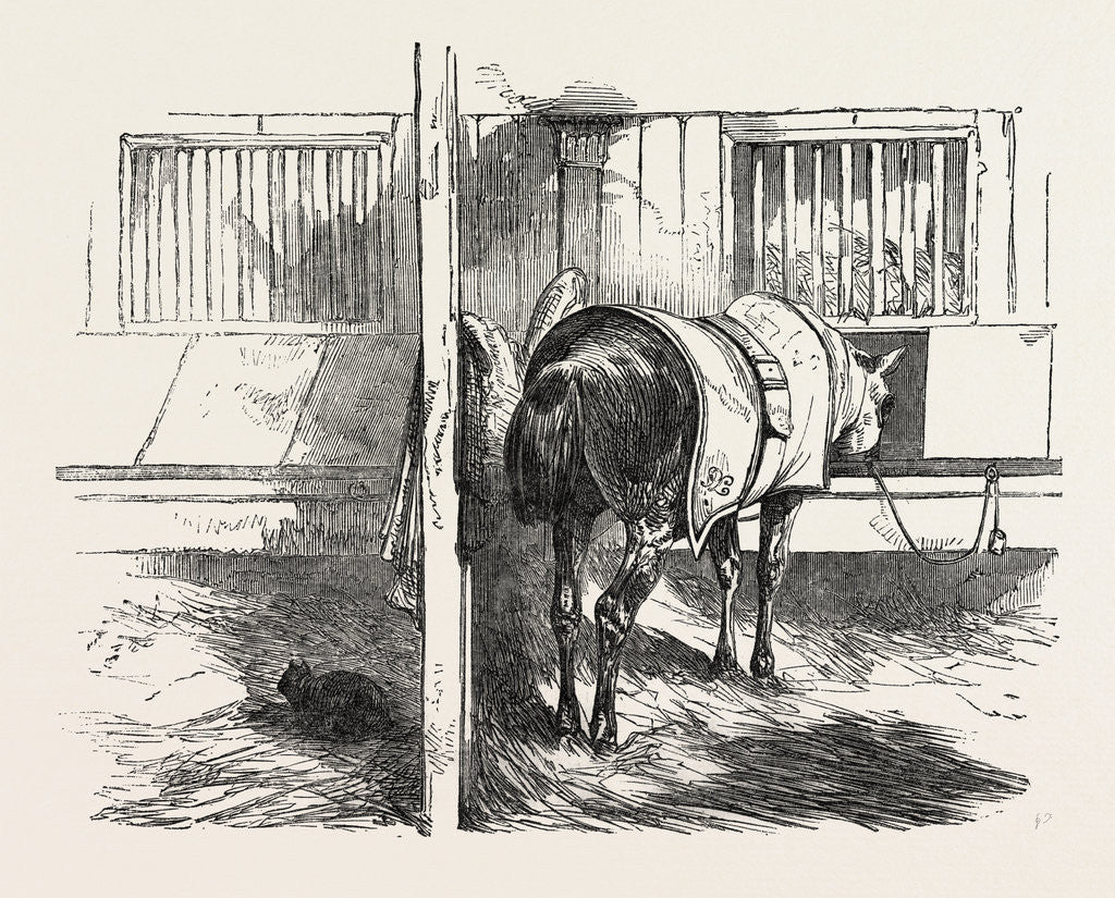 Detail of Prevention of Crib Biting by Anonymous