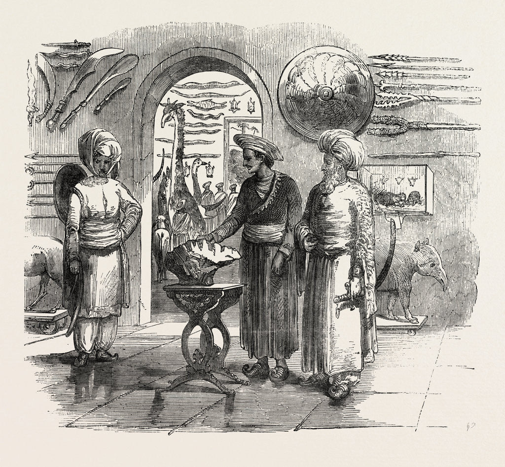 Detail of The Great Aerolite, from the Kurrukpoor Hills, Near Monghyr, India by Anonymous