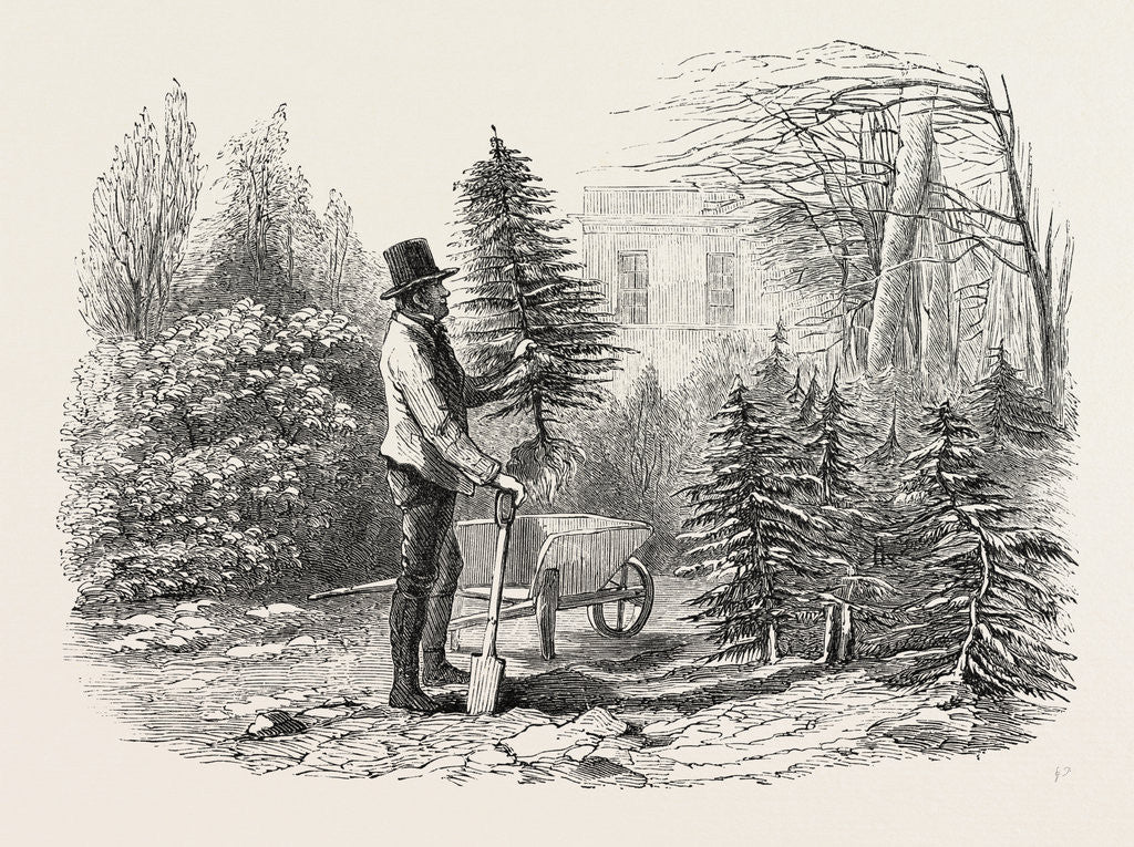 Detail of So the Little Fir-Tree Went Off in Its Wheelbarrow, and Tried to Sit in It with a Jaunty Air, As If It Was Only Being Taken for a Pleasant Airing. by Anonymous