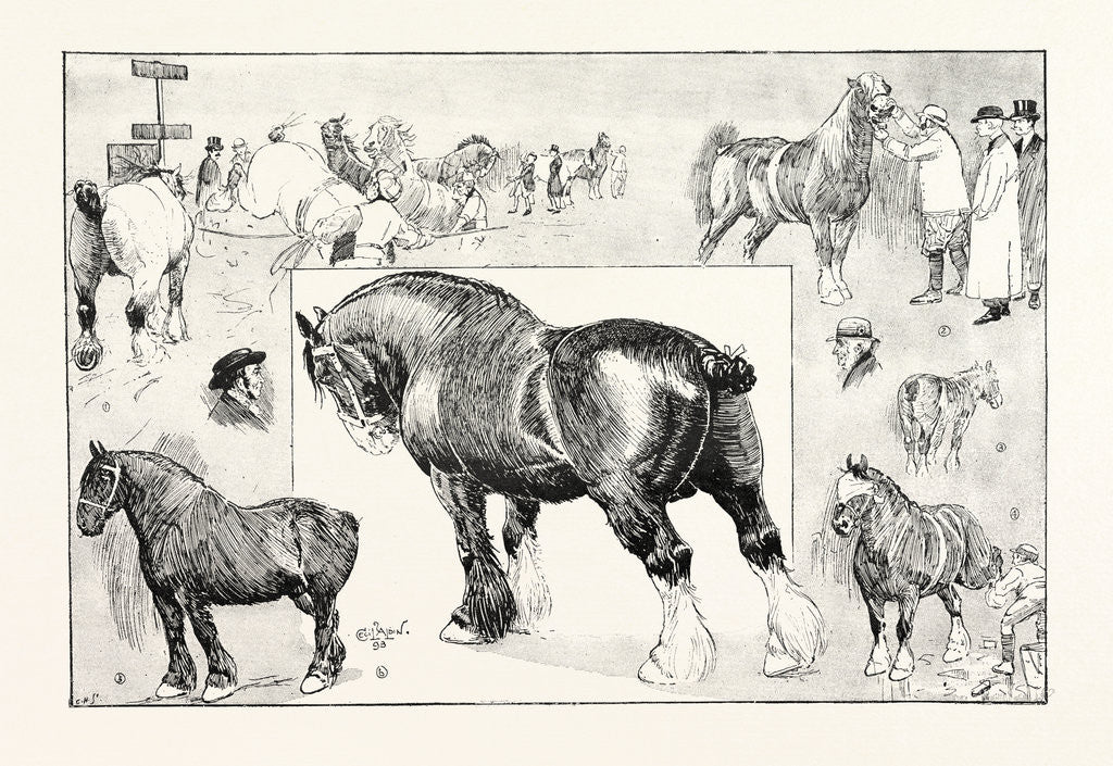 Detail of The Shire Horse Show at the Royal Agricultural Hall by Anonymous