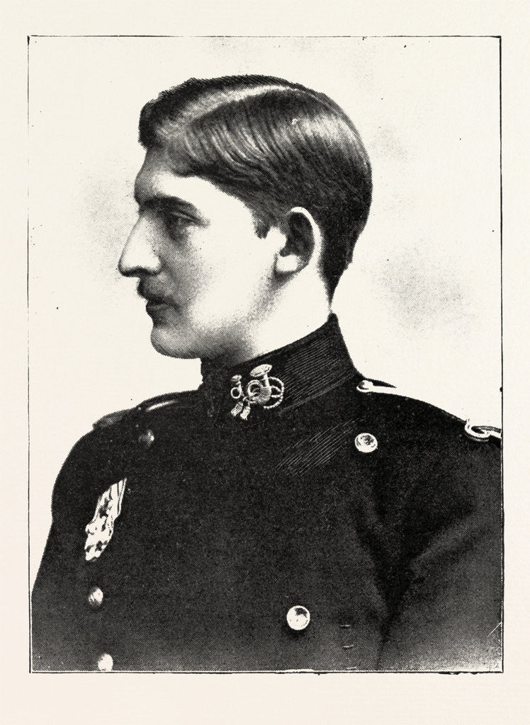 Detail of H.R.H. Prince Ferdinand of Romania by Anonymous