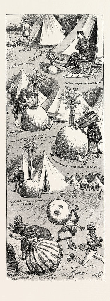 Detail of Wonders in Botany: The Story of the Growth of Some Giant Radishes by Anonymous