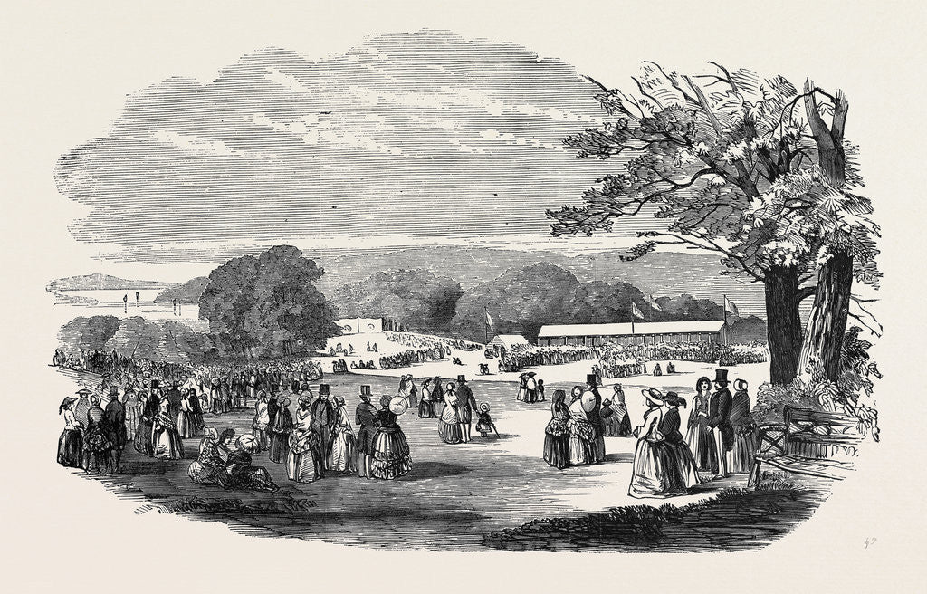 Detail of Fete in Bradley Woods, Devon by Anonymous