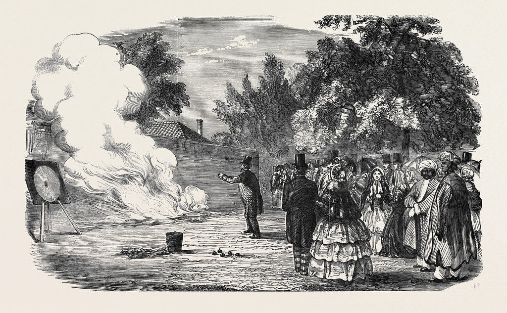 Detail of Captain Disney's War Projectile Experiments, in the Grounds of Mulgrave House, Fulham by Anonymous