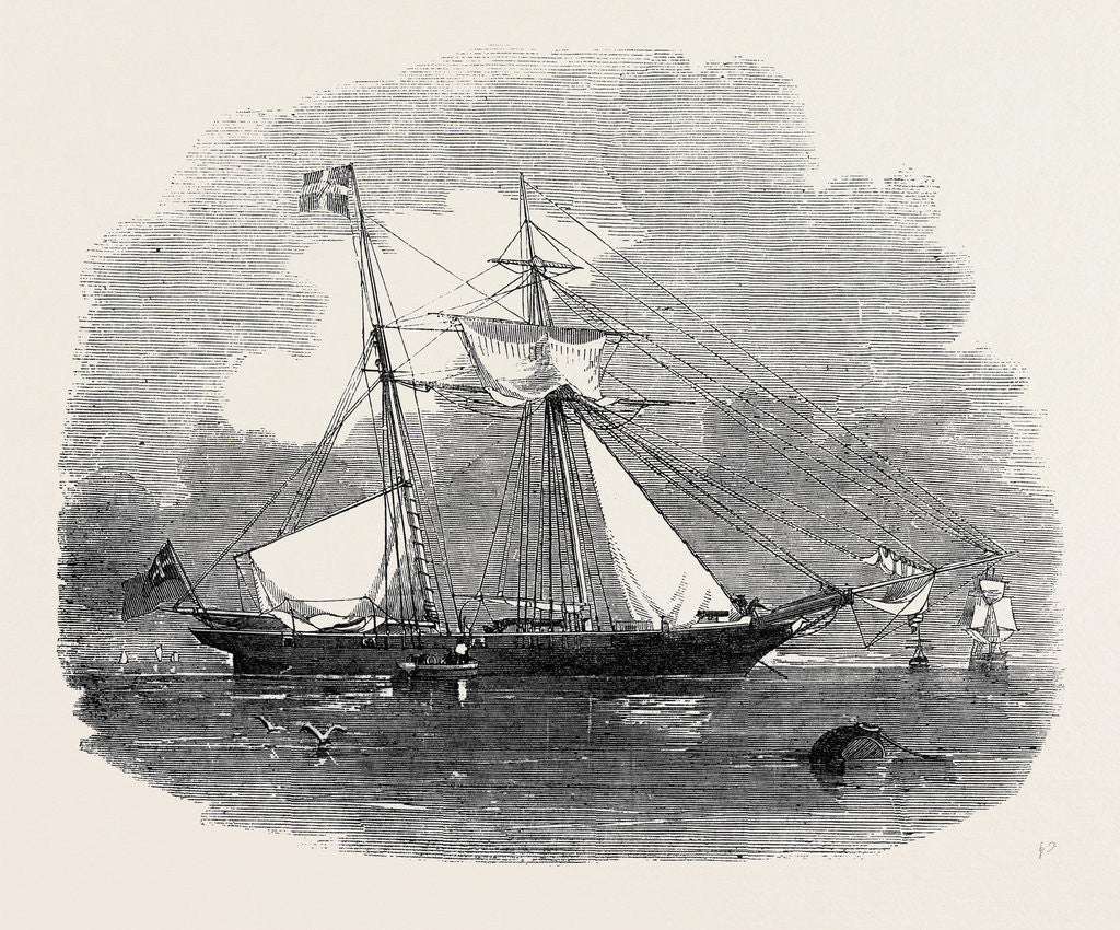 Detail of The New Opium Clipper Wild Dayrell by Anonymous