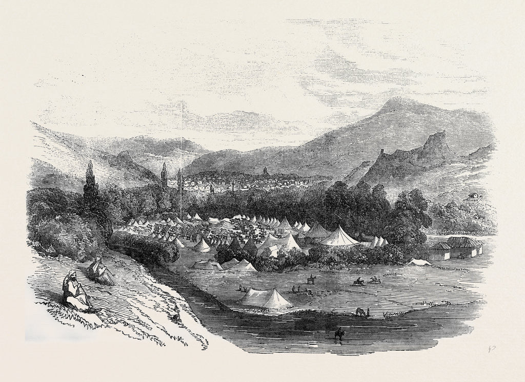 Detail of Horses for the Land Transport Corps Encamped at Tocat, in Asia Minor by Anonymous