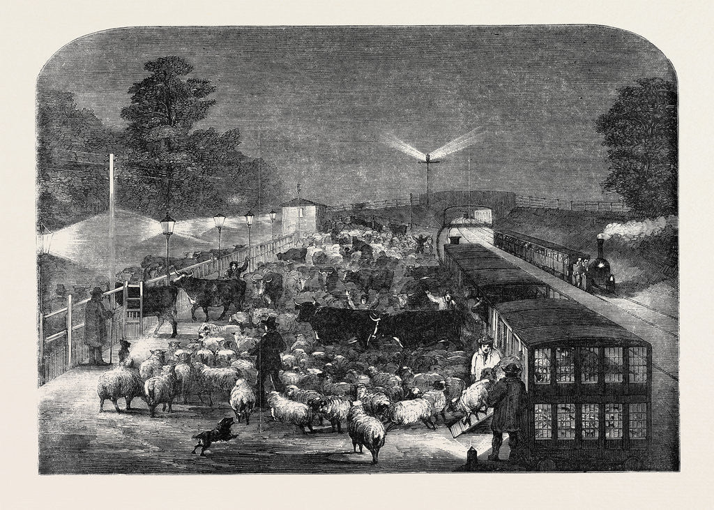 Detail of Christmas Cattle Arriving at Tottenham Station, Eastern Counties Railway by Anonymous