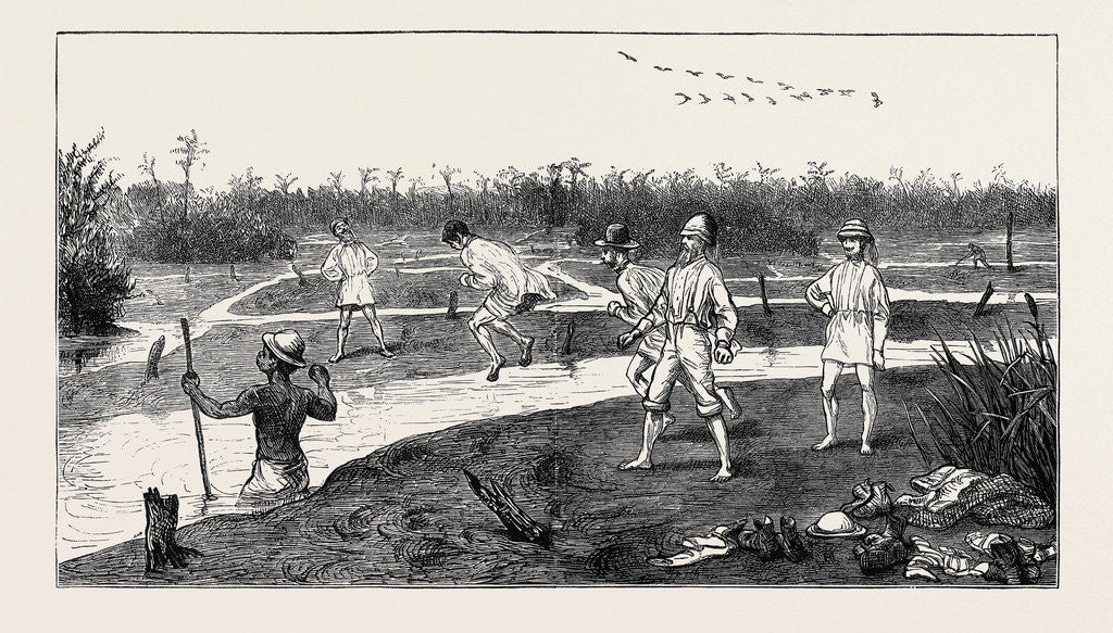 Detail of Crossing the Pitch Lake in the Island of Trinidad, West Indies by Anonymous