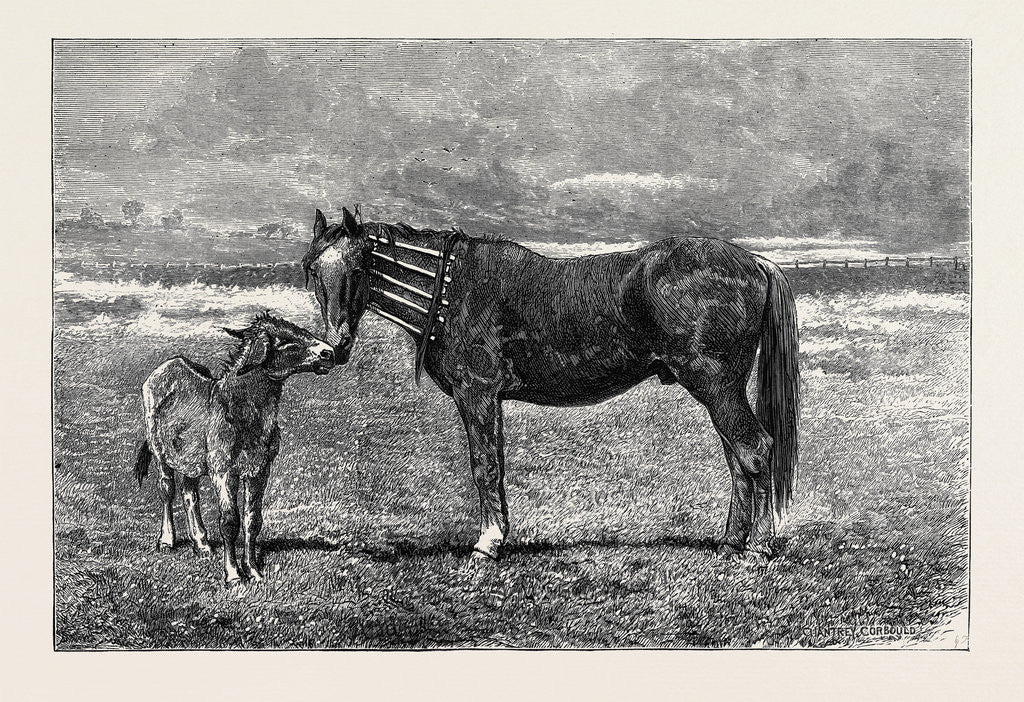 Detail of Kind Inquiries by Anonymous