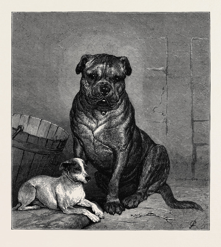 Detail of Beauty and the Beast, from the Drawing by John Charlton in the Black and White Exhibition by Anonymous