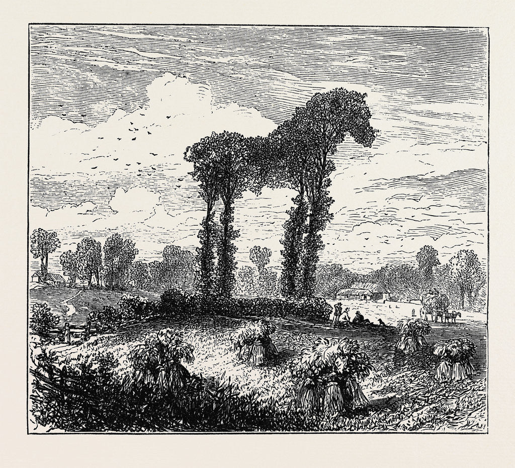 Detail of A Vegetable Horse, Curious Natural Phenomenon at Datchet by Anonymous