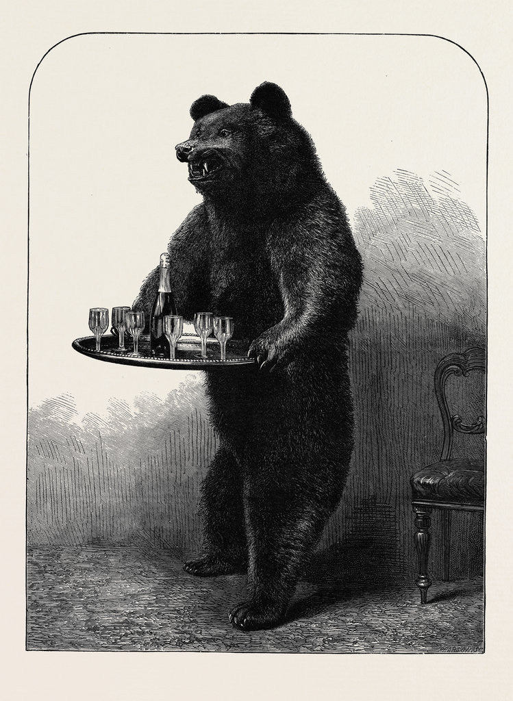 Detail of A Dumb Waiter Bear Shot by Lord Suffield in Russia During the Marriage Festivities of the Duke of Edinburgh by Anonymous