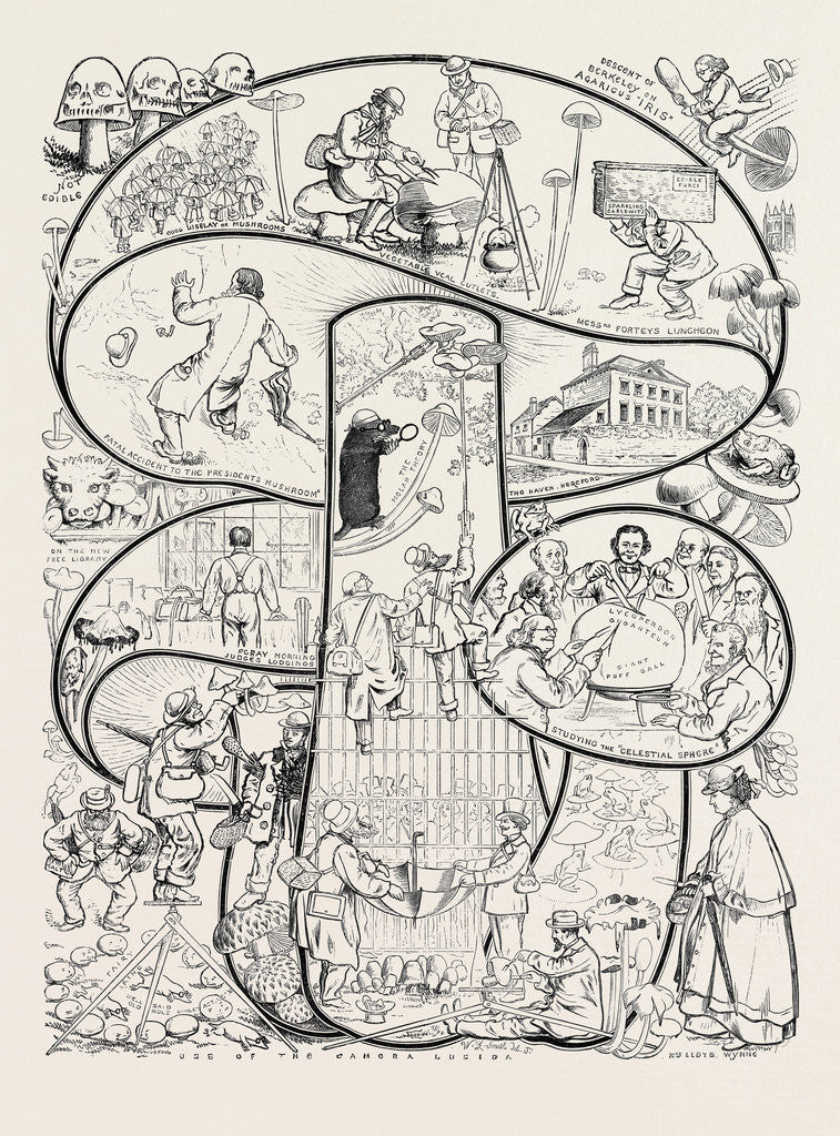 Detail of The Hereford Fungus Festival, October 17, 1874 by Anonymous