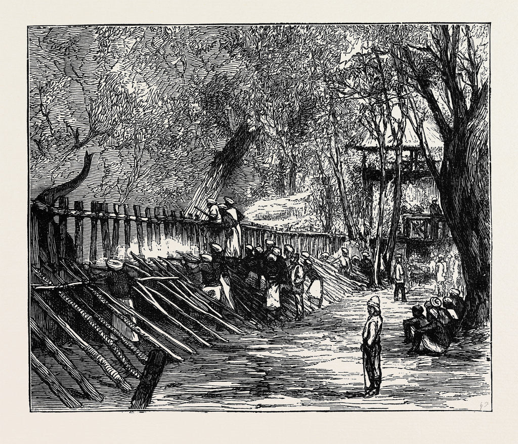 Detail of Elephant Hunting in Ceylon: Shooting Spare Elephants Through the Corral by Anonymous