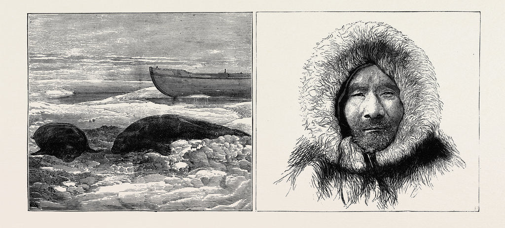 Detail of The Austrian Polar Expedition: Dead Seals on the Ice, A Samoiede Pilot by Anonymous